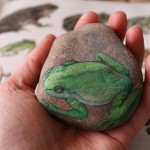 żaba ropucha kamień