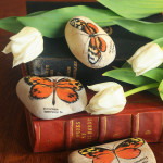 motyle, ręcznie malowane motyle